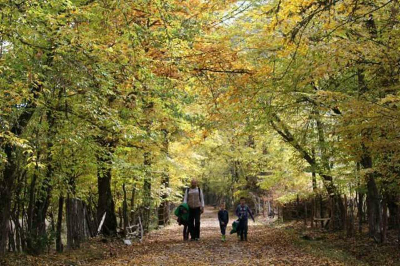 Seoski Turizam Zilicina Rogatica المظهر الخارجي الصورة